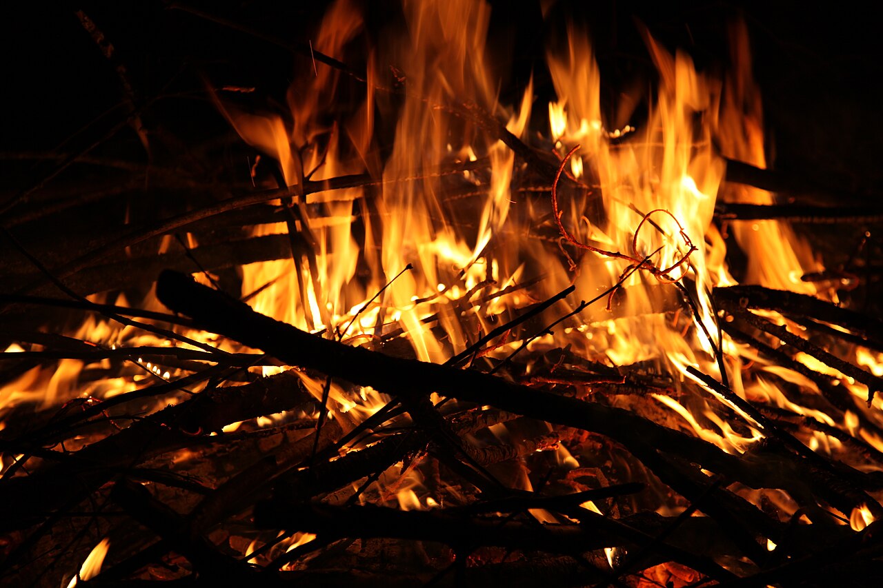 Campfire flames burning over a bed of branches at night