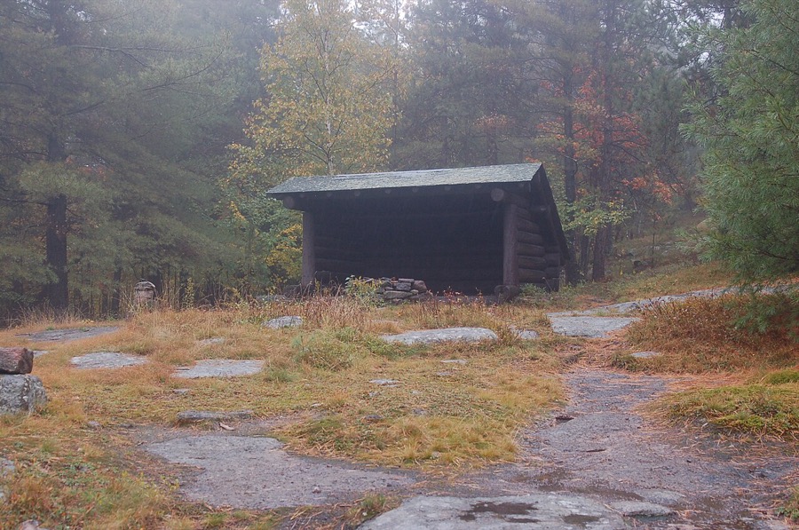 Log lean-to shelter with stone fire ring in misty conifer forest