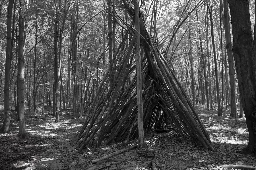 Tipi-style shelter frame built from dozens of long branches leaned against a tree
